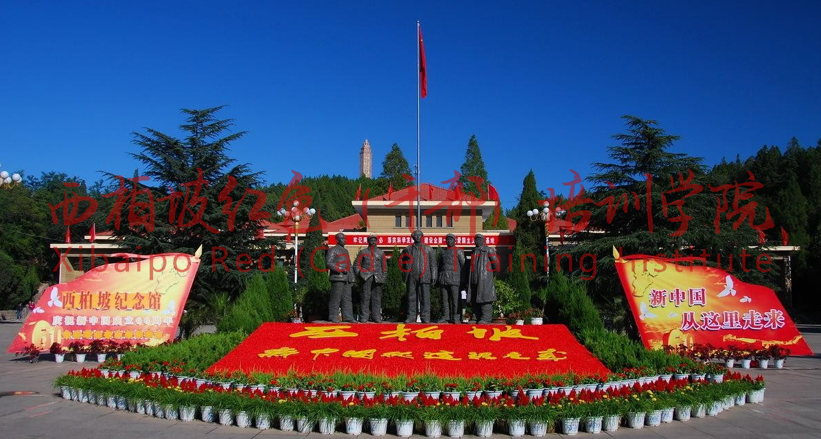 图片 1.png