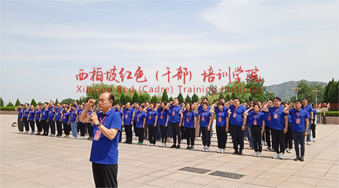 图片 3.png