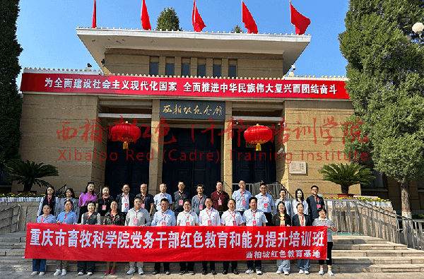 2024新澳门原料网