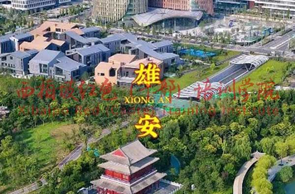2024新澳门原料网