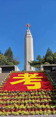 2024新澳门原料网