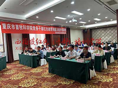 2024新澳门原料网